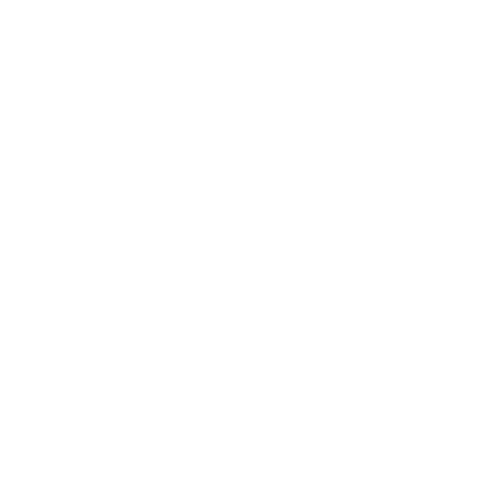 Four Seasons Logo